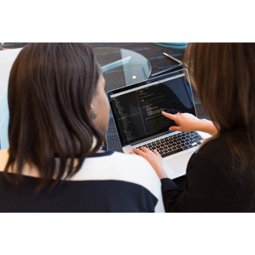 Digital Skills Development